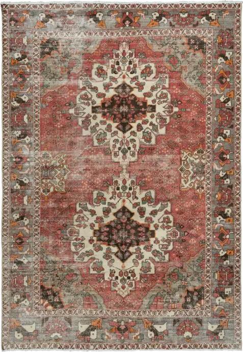 Patina Bakhtiari Rectangle Red Rug 7×10 Wool-Cotton