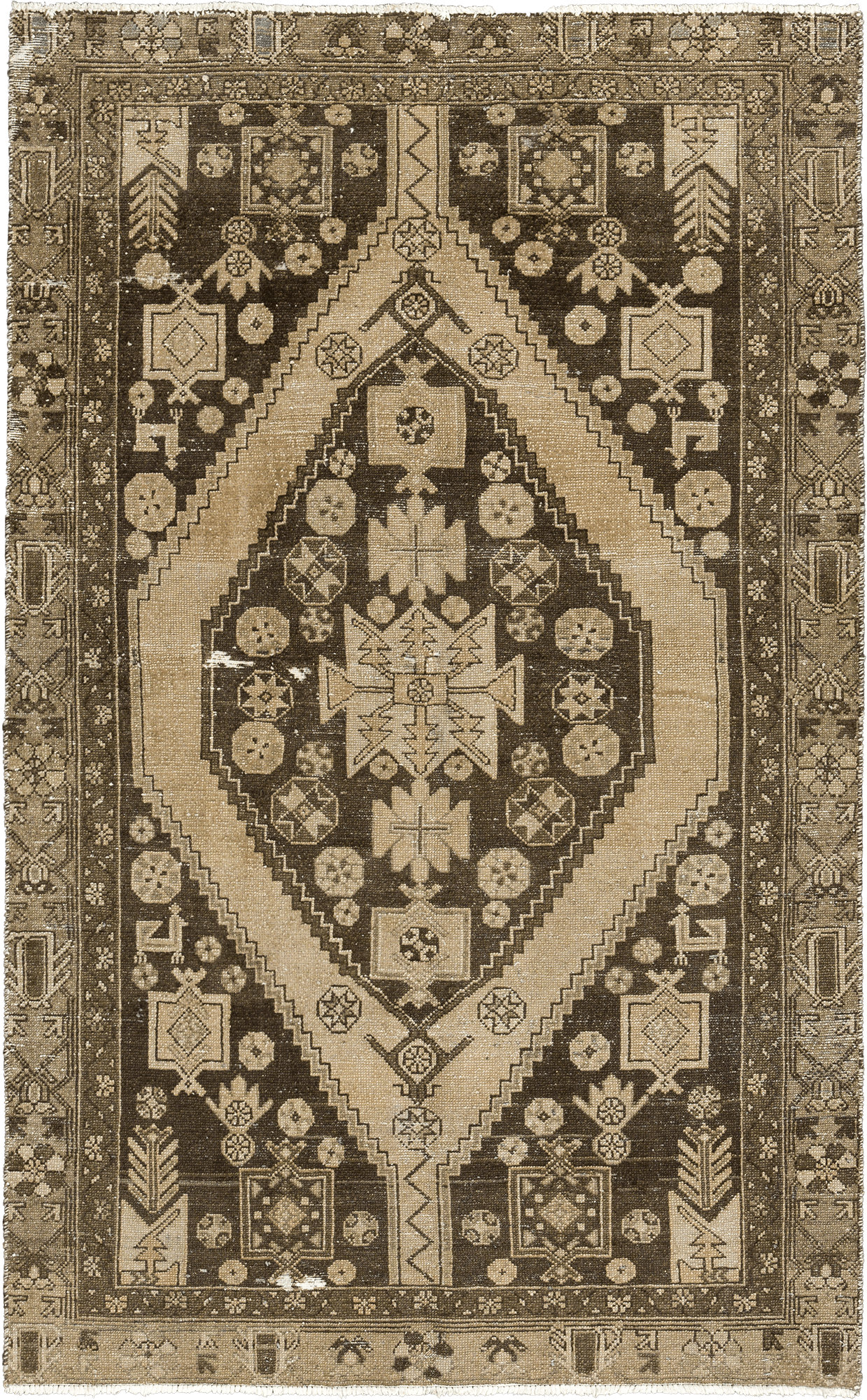 Modern Mazlaqan Rectangle Brown Rug 4×7 Wool-Cotton