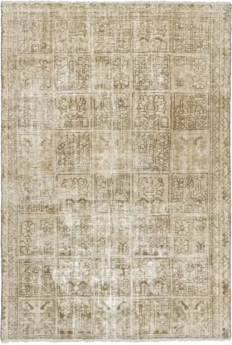 Modern Bakhtiari Rectangle Beige Rug 5×8 Wool-Cotton
