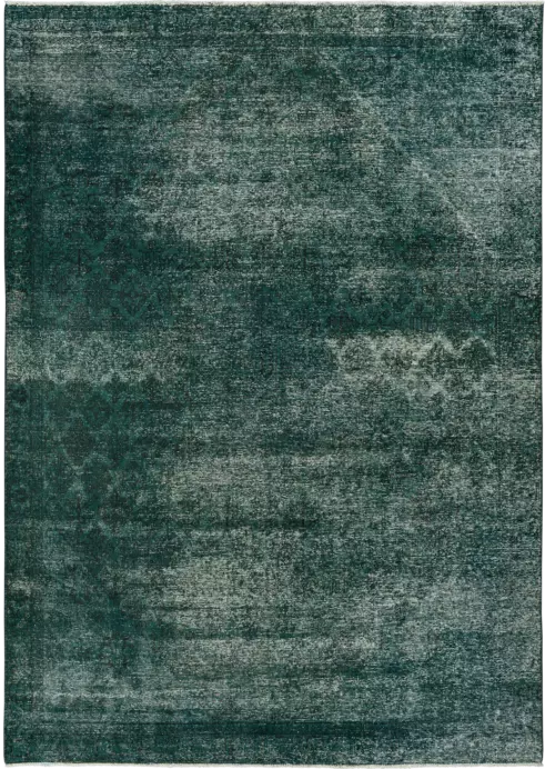 Colorful Vintage Josheqan Rectangle Green Rug 7×10 Wool-Cotton