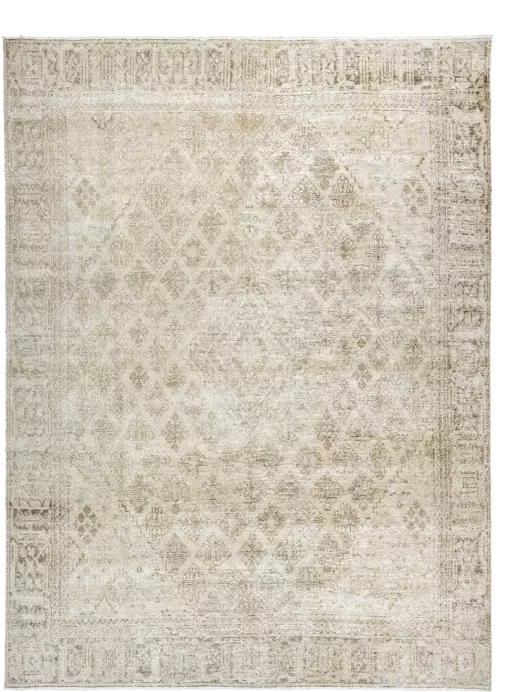 Modern Josheqan Rectangle Beige Rug 8×11 Wool-Cotton