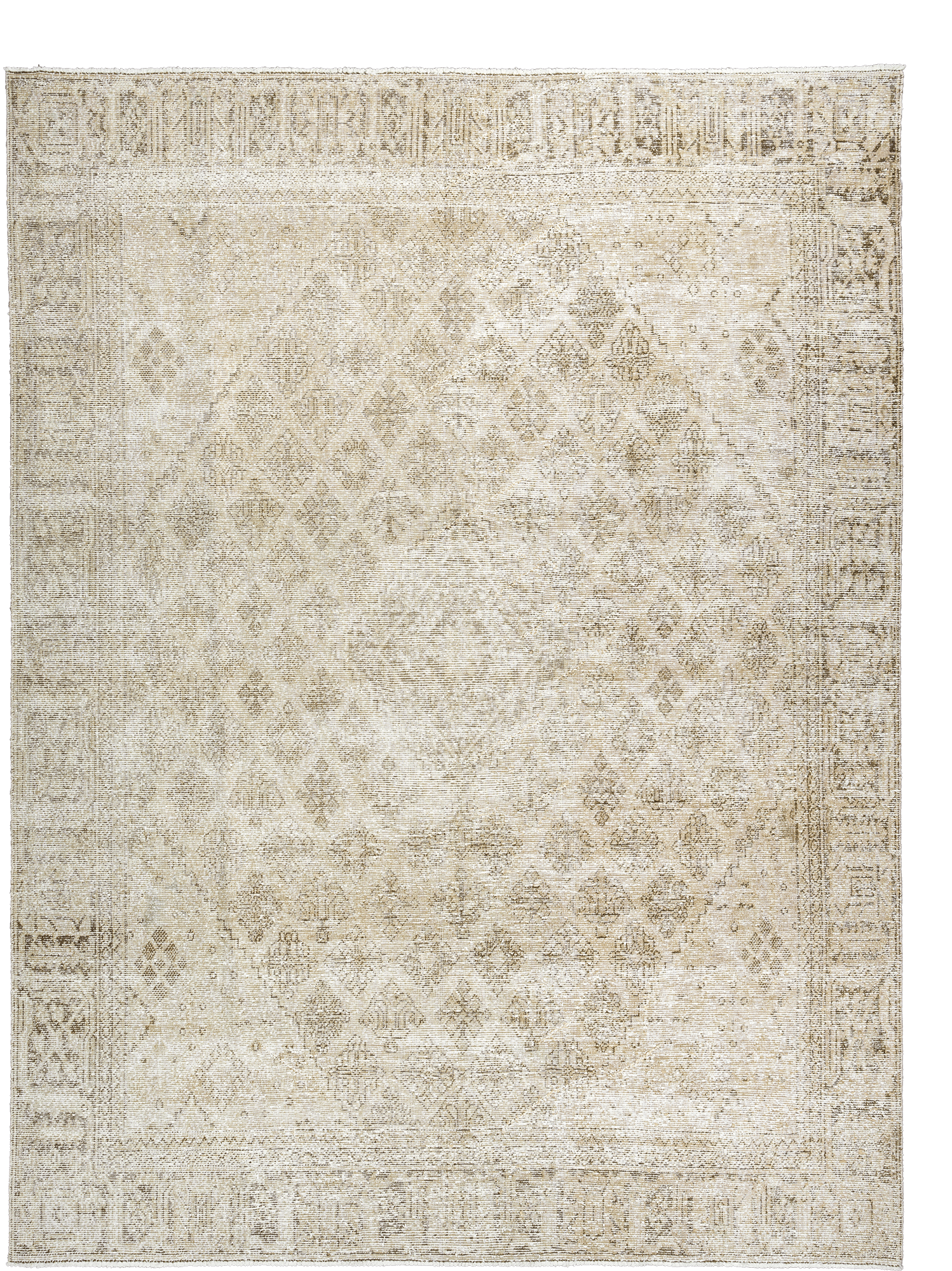 Modern Josheqan Rectangle Beige Rug 8×11 Wool-Cotton
